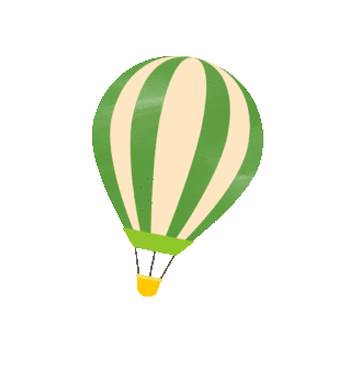 hot air balloon