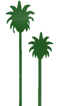 palms