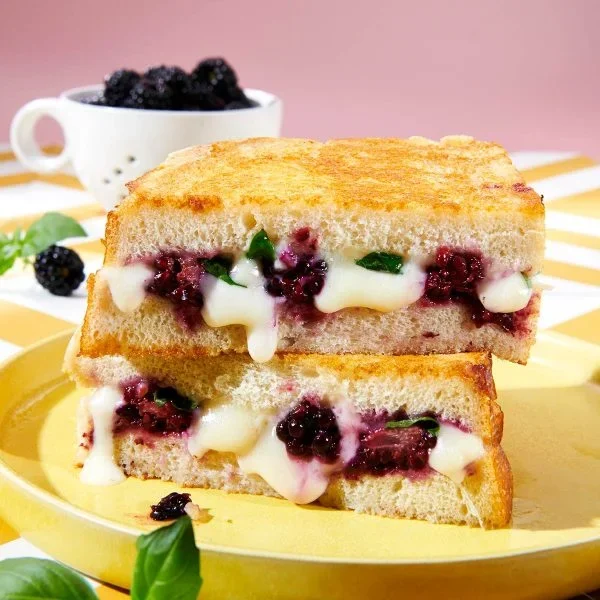 Blackberry Basil Grilled Cheese Vegan Recipe